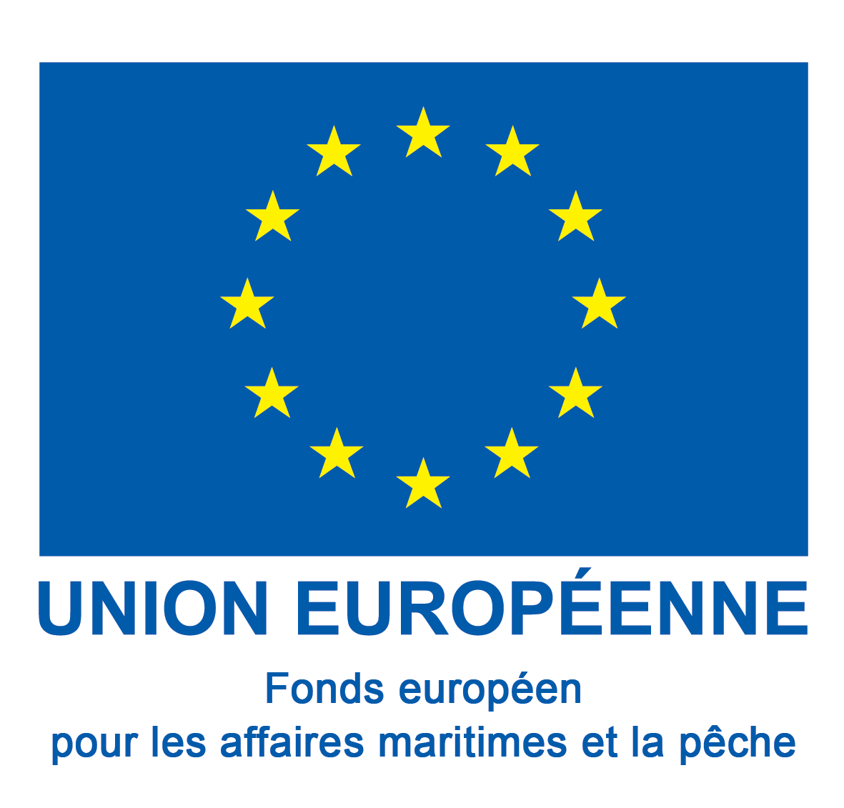 Logo Fonds européen pour les affaires maritimes et la pêche
