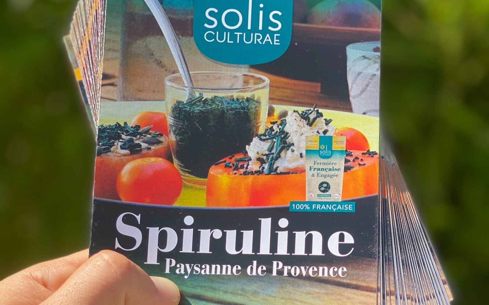 Dépliant A6 Solis Culturae 2021 