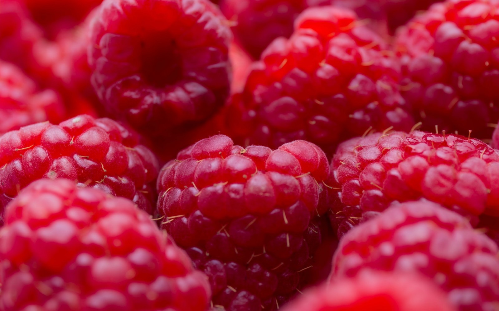 Framboise (crédit photo Isaac Quesada @Unsplash)