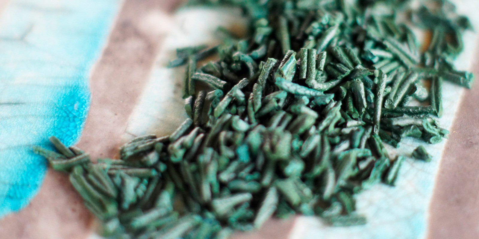 Début récolte 2021, nos premières paillettes de Spiruline