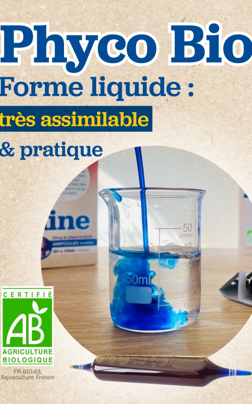 Dans sa forme liquide, la phycocyanine est hautement assimilable par l'organisme