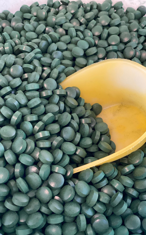 les comprimés sont stockés dans des seaux de 25 kg