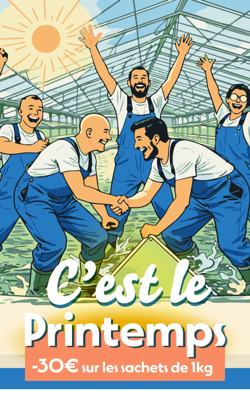 Offre de printemps 2026 sur la spiruline