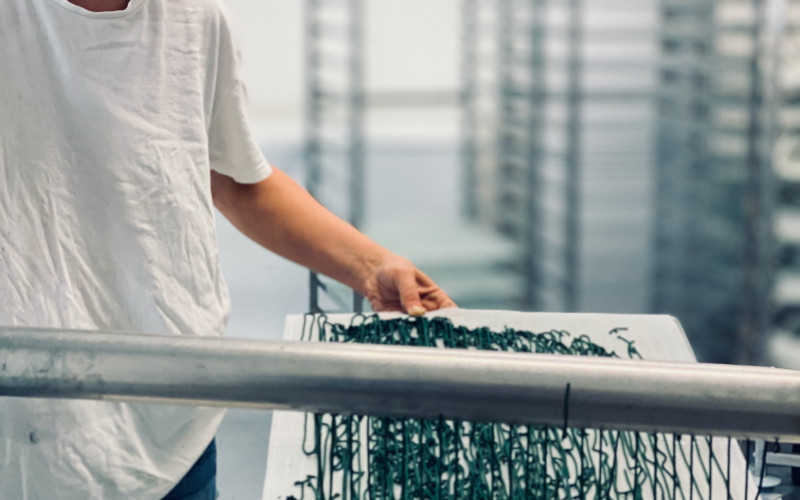 la spiruline est extraite sous forme de spaghetti