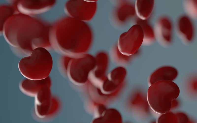 Rendu 3D illustrant la production de globules rouges (crédit Photo Ave Calvar Licence Unsplash+)