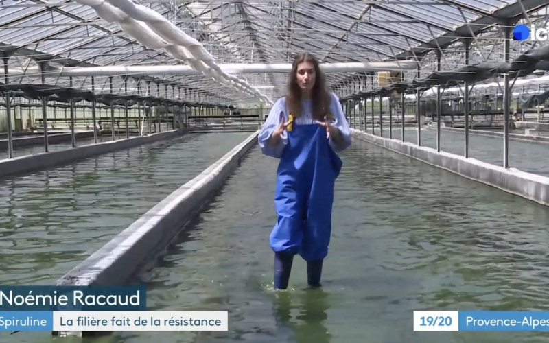 Reportage France 3 : la filière fait de la résistance