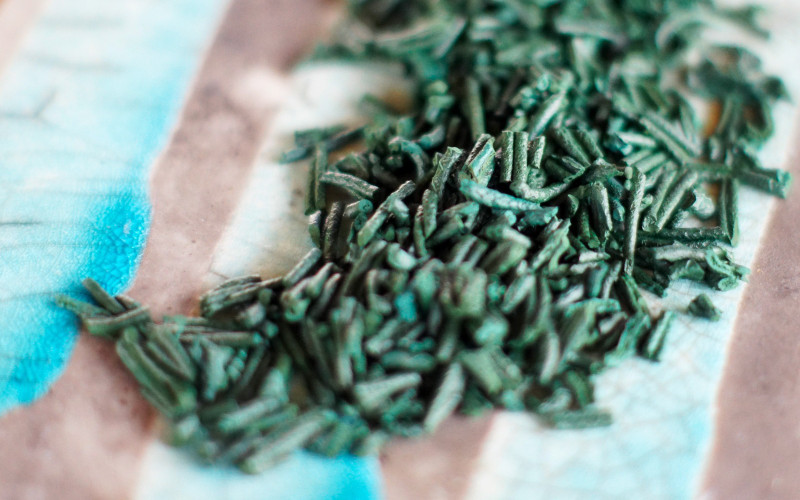Début récolte 2021, nos premières paillettes de Spiruline