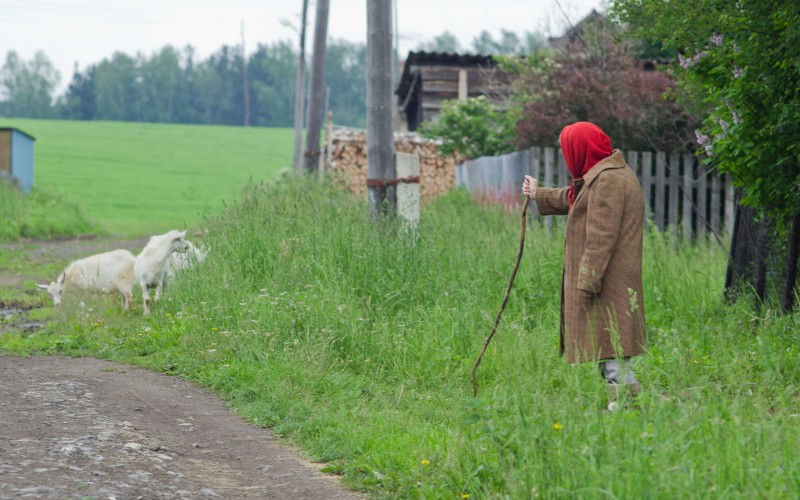 Veille paysanne gardant des chèvres — Photo de Aleksei Zaitcev sur Unsplash