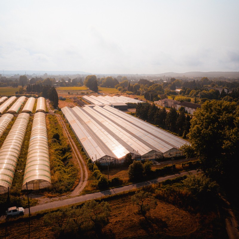 vue drone de la ferme Solis Culturae des Confines — juin 2025