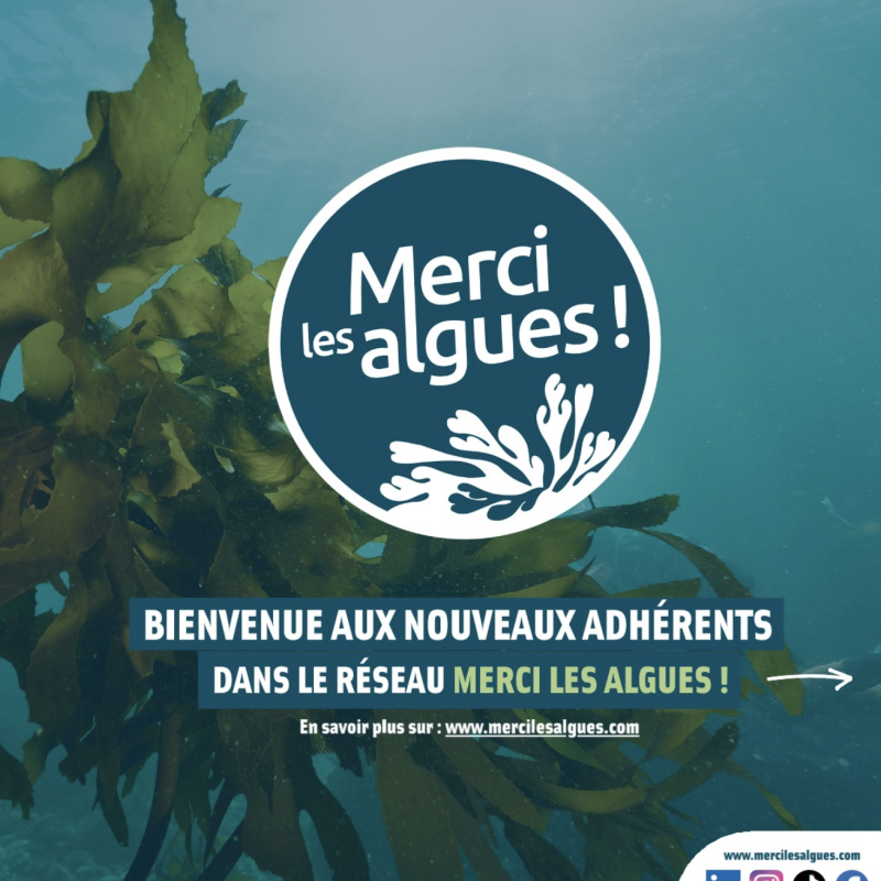 Merci les algues adhésion