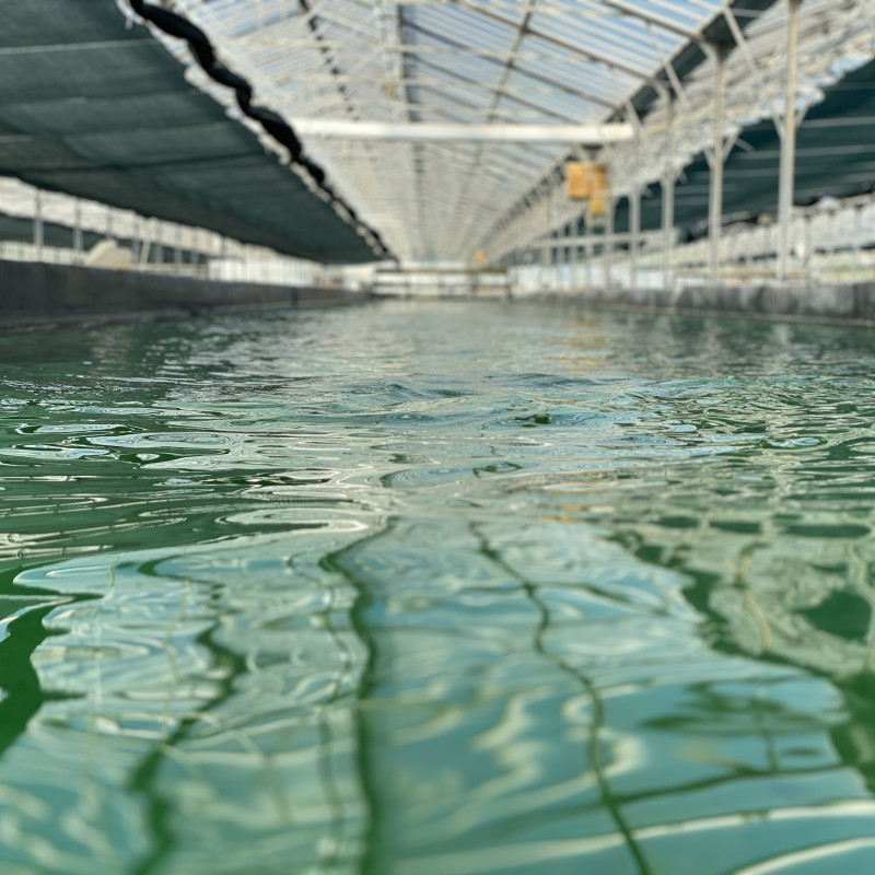 un bassin à la ferme des confines