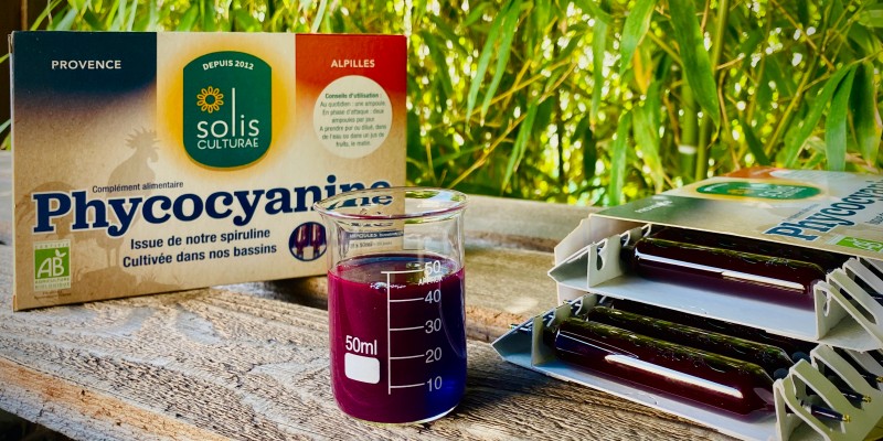 Phycocyanine Solis Culturae, packaging en 20 ampoules, en terrasse